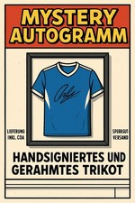 Mystery surprise autogramm gebraucht kaufen  Lichtenfels