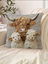 Beautiful highland cow for sale  CHEPSTOW