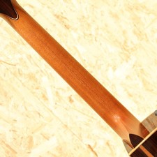 Taylor cocobolo fall d'occasion  Expédié en France