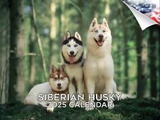 Siberian husky dog for sale  Traverse City