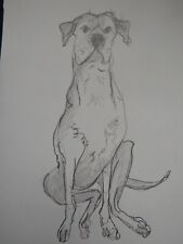Original pencil drawing for sale  ABERYSTWYTH