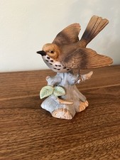 Vintage mistle thrush for sale  LEEK
