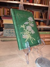 Luigi rocca guglielmo usato  Roma