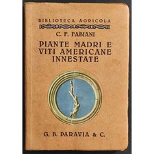 Piante madri viti usato  Alessandria