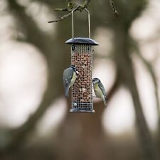 Garden wild bird for sale  RADSTOCK