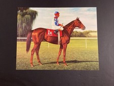 Estrapade corse cavalli usato Estrapade corse cavalli usato  Spedire a Italy