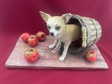 Tan white chihuahua for sale  San Jose