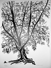 Michael adams casnarina gebraucht kaufen Michael adams casnarina gebraucht kaufen  Essen