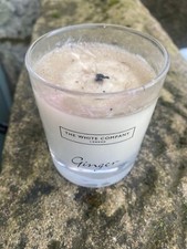 White company ginger for sale  CHESTERFIELD