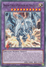 Dragon jumelé explosion d'occasion  France