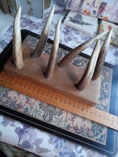 Deer horn hooks for sale  NEWBURY