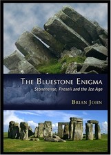 Bluestone enigma stonehenge for sale  UK