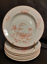 Assiettes creuses porcelaine d'occasion  Châteaudun