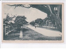 Chine indochine kouang d'occasion  France