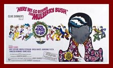 Round mulberry bush for sale  COLCHESTER