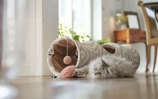 Katzentunnel beige braun gebraucht kaufen  Amelinghausen