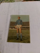 Figurina calciatori patuzzi usato  Torino