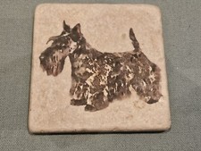 Lovely scottish terrier for sale  TAMWORTH