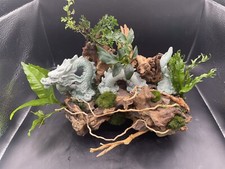Aquarium live plants for sale  CARMARTHEN