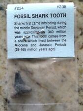 Lot packaged fossilized for sale  Blum