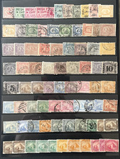 Egypt mint used for sale  DERBY