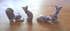 Chats d'occasion Chats d'occasion Lapoutroie