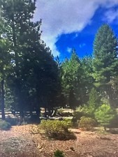 Summer sale california for sale  El Dorado Hills