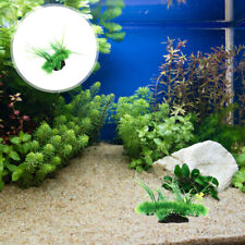 Aquarium plants artificial for sale  LONDON