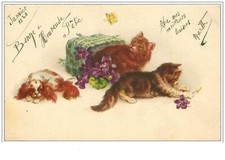 Chats. 1185.chats chien d'occasion  France