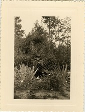 Antique photo vintage d'occasion  Expédié en Belgium