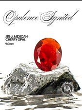 .85 mexican cherry for sale  Cleveland