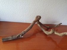 Ast deko terrarium gebraucht kaufen  Viernheim