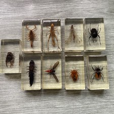 National geographic real for sale  DONCASTER