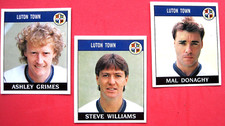Football panini luton for sale  NOTTINGHAM