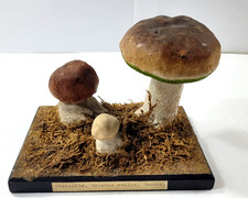 Schlüter altes modell gebraucht kaufen Schlüter altes modell gebraucht kaufen  Göttingen