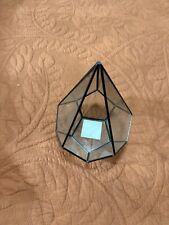 plastic terrarium for sale plastic terrarium for sale Lula