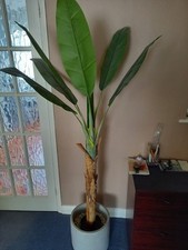Next artificial indoor for sale  ENFIELD
