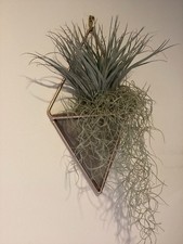 Ceramic brass indoor for sale  BATH