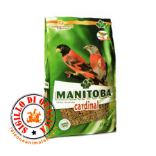Mangime semi cardinal usato  Fasano