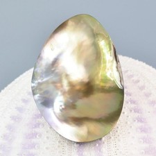 Cabochão Mabe Blister pérola em concha arco-íris colorido extremo iridescente 8,43 g comprar usado  Enviando para Brazil