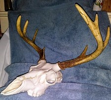 Mountain mike reproductions for sale  Uniontown