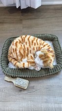 Perfect petzzz orange for sale  Johns Island