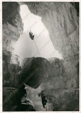 Canove sotto bisele usato Canove sotto bisele usato  Cremona