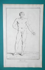 Figura masculina proporções básicas Anatomia para artistas - 1763 impressão Diderot comprar usado  Enviando para Brazil