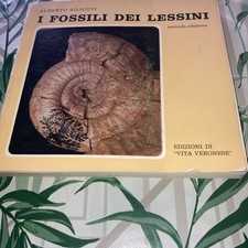 Fossili dei lessini usato  Brusnengo
