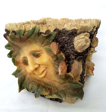Rare green oak for sale  TORRINGTON