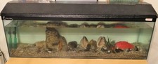 Clear seal aquarium for sale  RUISLIP