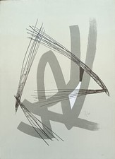 Richter hans senza usato  Italia