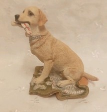 Country artists dog for sale  GREAT YARMOUTH