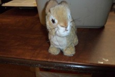 Steiff bunny rabbit for sale  Lake Worth